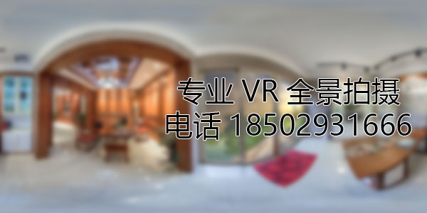 文儒镇VR全景技术在未来可能的发展方向和应用领域?
